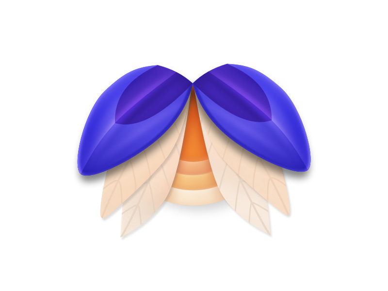 New App Icon for Elytra